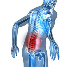 Pathologies du rachis